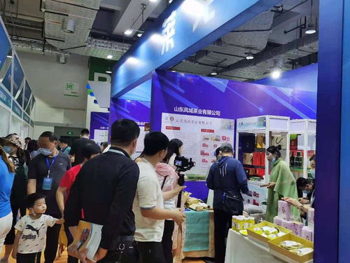 2021濟南地產品展示交易會 市場拓展與咨詢策劃服務的創新融合