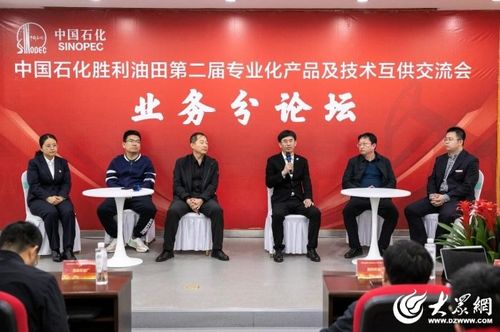 首次勝利油田專業化服務及產品互供交流展覽會舉辦業務沙龍，電力專場咨詢策劃服務引領創新浪潮